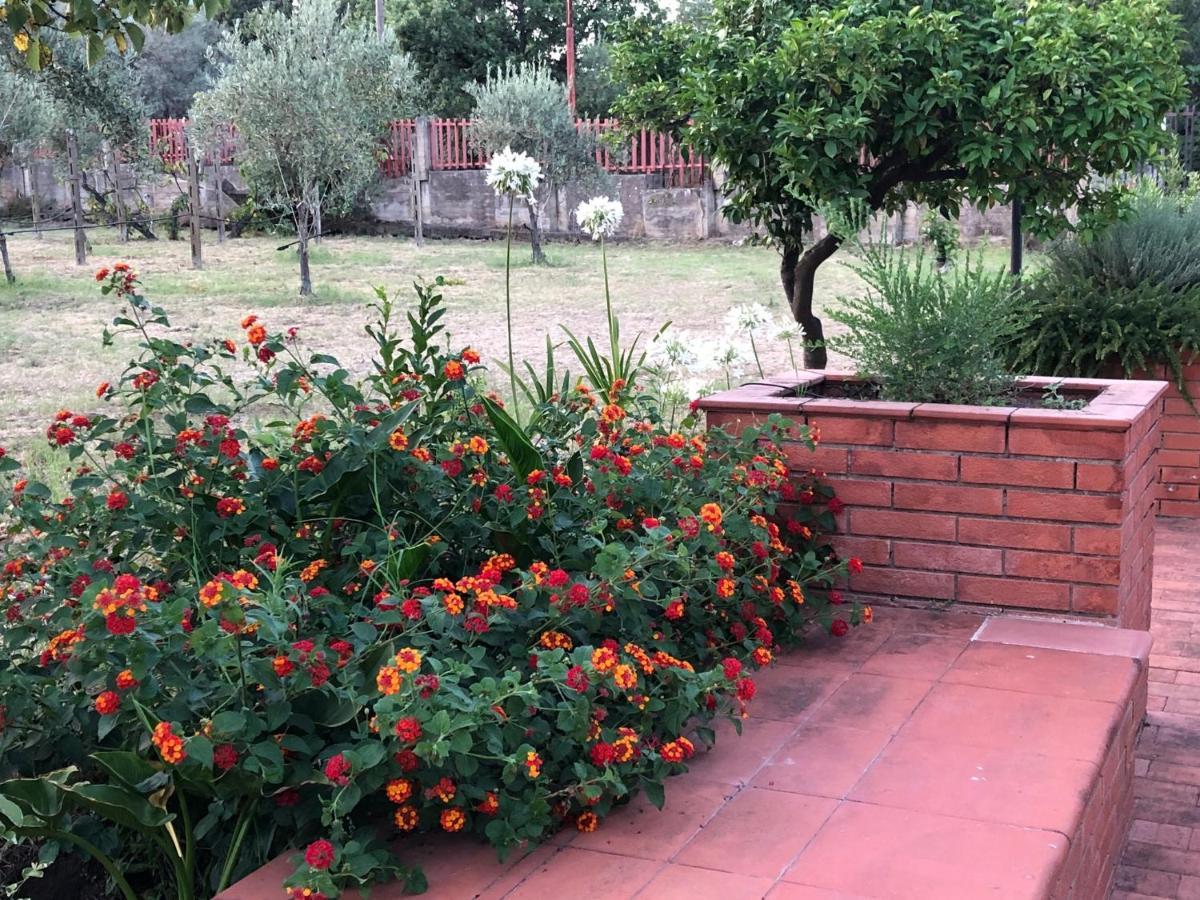 Villa Carolea Acireale Buitenkant foto